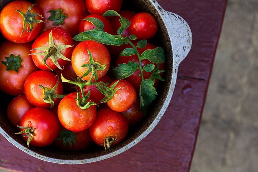 Cà chua giàu Vitamin C, vitamin A và vitamin B, chất lycopene có ích cho làn da
