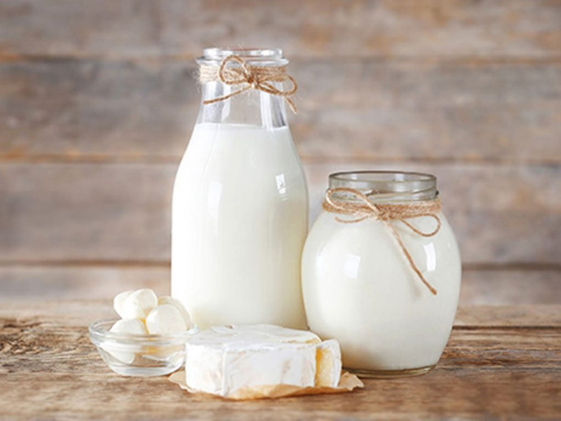 Sữa tươi có chứa nhiều dưỡng chất cần thiết cho cơ thể
